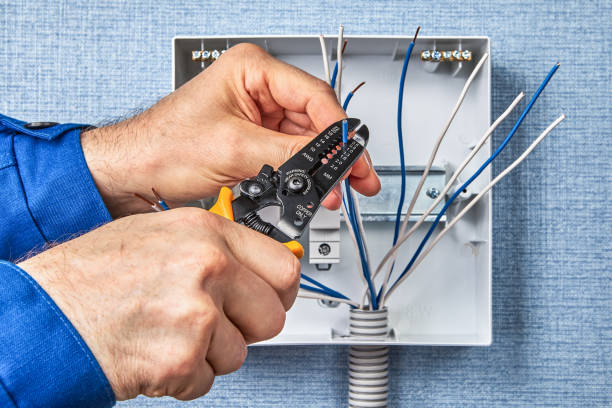 Best Surge Protection Installation  in Llington, MI